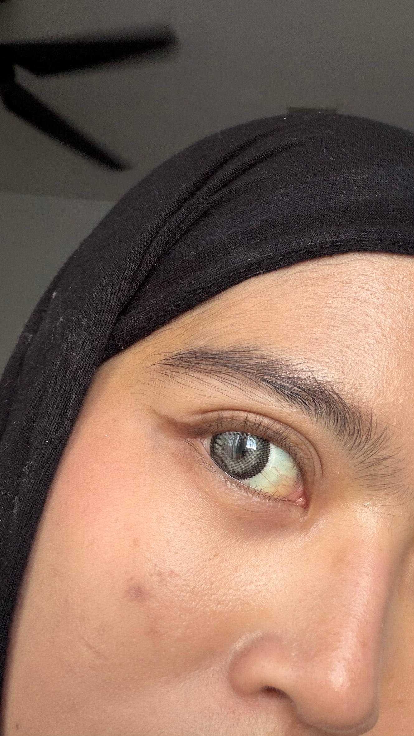 Donut Gray