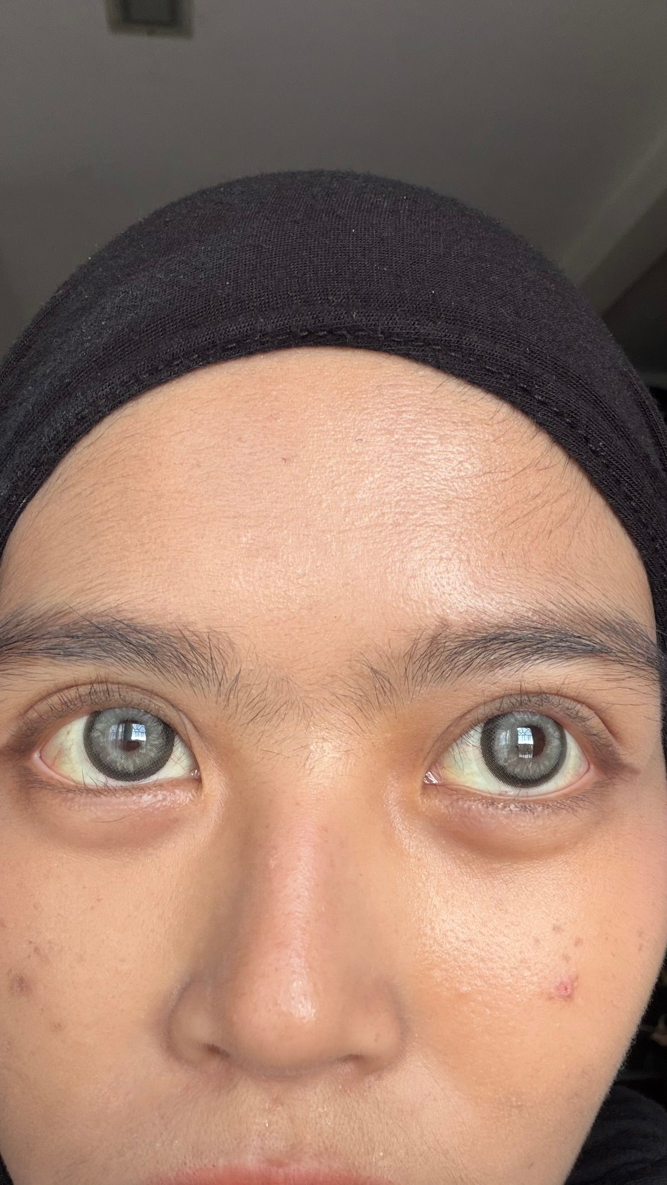 Donut Gray